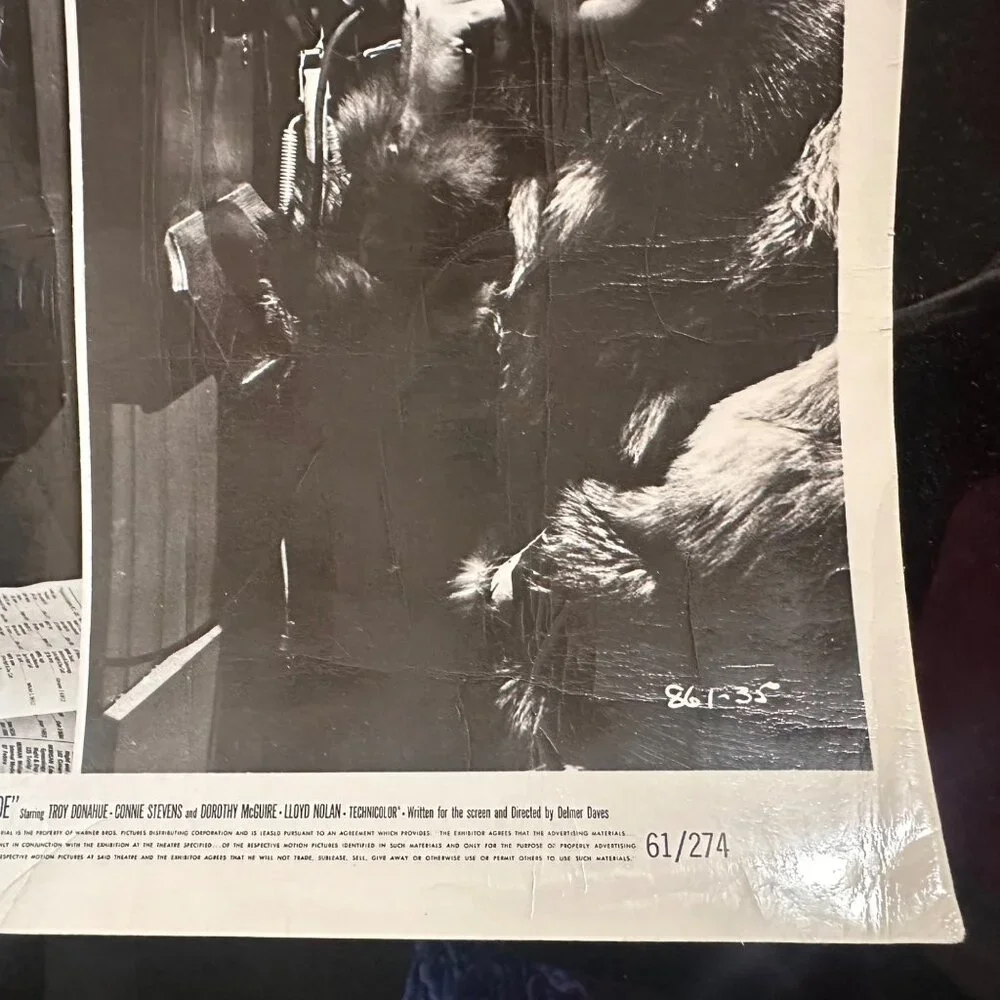 Vintage 1961 Warner Bros "Susan Slade" Movie Still Photo Featuring Connie Steven - Picture 8 of 13